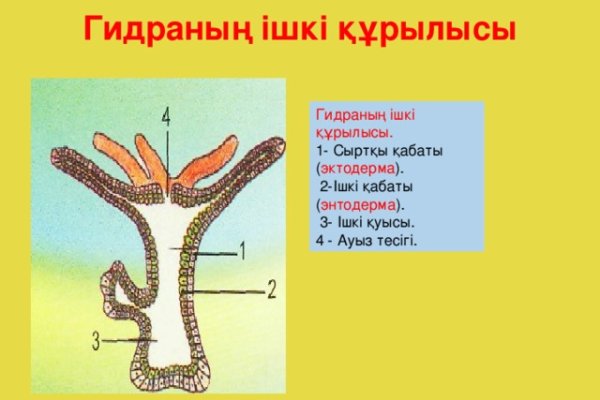 Как восстановить аккаунт в кракен