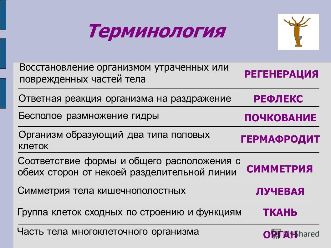 Кракен сайт бошки
